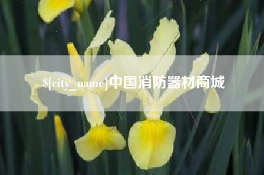 郯城中国消防器材商城