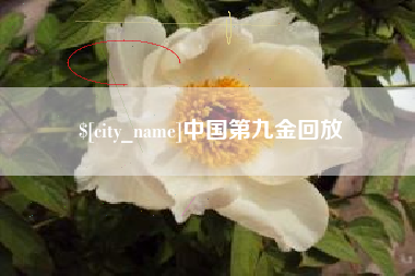 郯城中国第九金回放
