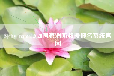郯城2020国家消防救援报名系统官网