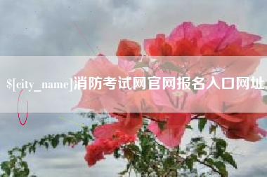 郯城消防考试网官网报名入口网址