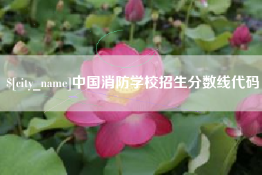 郯城中国消防学校招生分数线代码