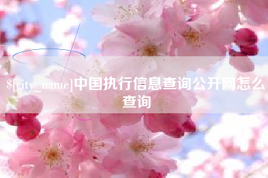 郯城中国执行信息查询公开网怎么查询