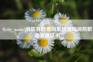 郯城消防官网查询系统查询消防职业资格证书