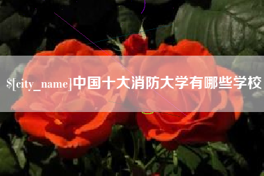 郯城中国十大消防大学有哪些学校