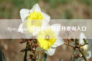 郯城中国执行网公开查询入口