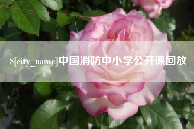 郯城中国消防中小学公开课回放