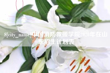 郯城中国消防救援学院2020年在山东招生计划表
