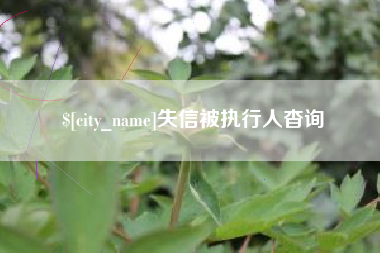 郯城失信被执行人杳询