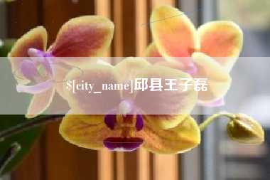 郯城邱县王子磊