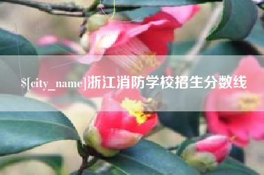 郯城浙江消防学校招生分数线