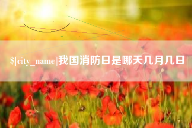 郯城我国消防日是哪天几月几日