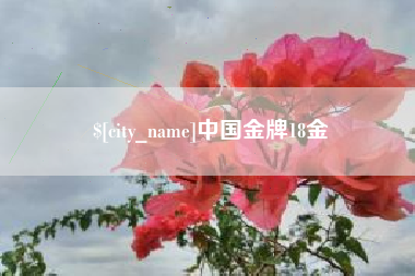 郯城中国金牌18金
