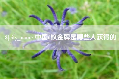 郯城中国6枚金牌是哪些人获得的