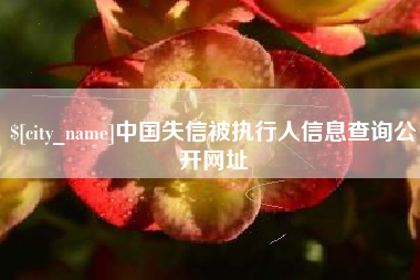 郯城中国失信被执行人信息查询公开网址