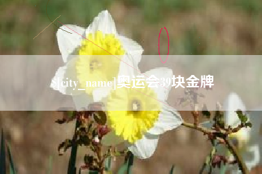 郯城奥运会39块金牌