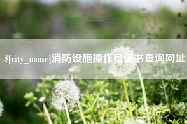 郯城消防设施操作员证书查询网址