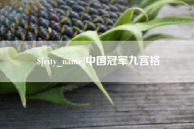郯城中国冠军九宫格