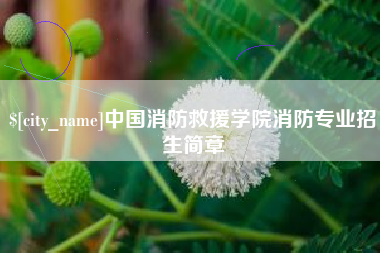 郯城中国消防救援学院消防专业招生简章