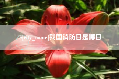 郯城我国消防日是哪日