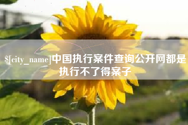 郯城中国执行案件查询公开网都是执行不了得案子