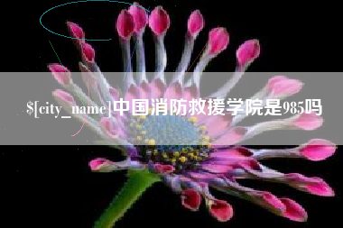 郯城中国消防救援学院是985吗