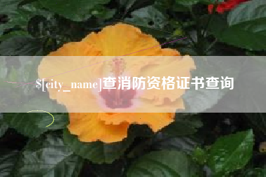 郯城查消防资格证书查询