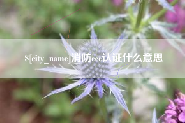 郯城消防ccc认证什么意思