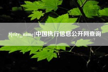 郯城中国执行信息公开网查询