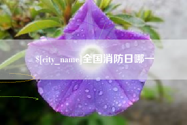郯城全国消防日哪一