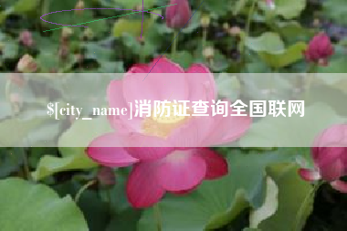 郯城消防证查询全国联网
