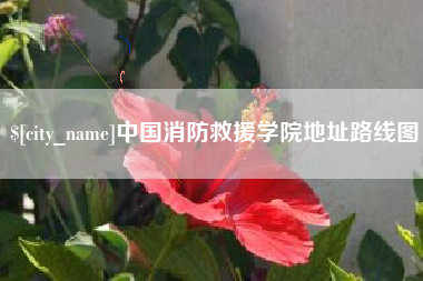 郯城中国消防救援学院地址路线图