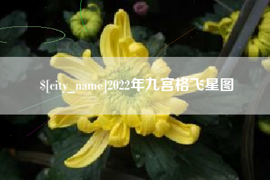 郯城2022年九宫格飞星图