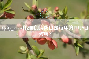 郯城我国的消防日是每年的11月9日对吗？