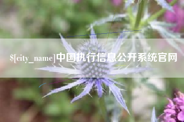 郯城中国执行信息公开系统官网