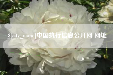 郯城中国执行信息公开网 网址