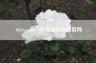 郯城中国消防产品官网