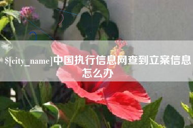 郯城中国执行信息网查到立案信息怎么办