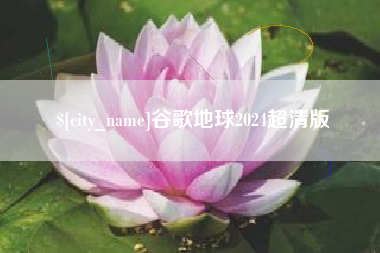 郯城谷歌地球2024超清版