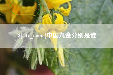 郯城中国九金分别是谁