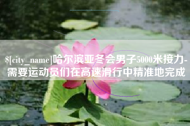 郯城哈尔滨亚冬会男子5000米接力-需要运动员们在高速滑行中精准地完成