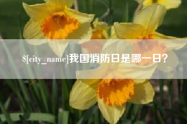 郯城我国消防日是哪一日？