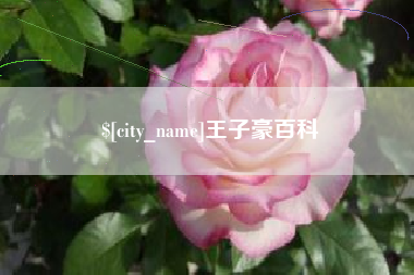 郯城王子豪百科