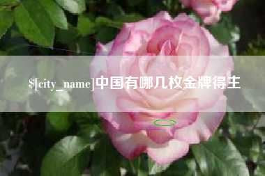 郯城中国有哪几枚金牌得主