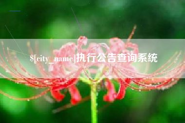 郯城执行公告查询系统