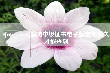 郯城消防中级证书电子版查询多久才能查到