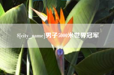 郯城男子5000米世界冠军