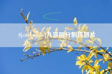郯城九宫图分割线图片
