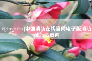 郯城中国消防在线官网电子版消防证怎么查询