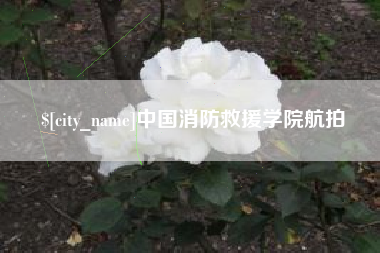 郯城中国消防救援学院航拍