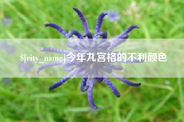 郯城今年九宫格的不利颜色